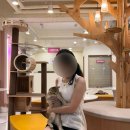 냥이 싸롱 이미지