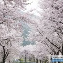 의령예술촌(야외) 이미지