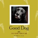 굿독(Good Dog) 이미지
