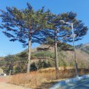 곰배령팜스테이 이미지