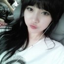 뿌리길 이미지