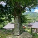 사곡리 Daum카페