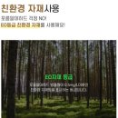 오로라 캣 이미지