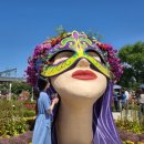 곡성축협농장 | 곡성장미축제 섬진강기차마을 후기 한우명품관 토란국 토란아이스크림