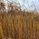 힐링산책코스 이미지