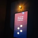 [안성스타필드 글로우사파리] 판다100 아기와 실내데이트 솔직 후기 (내돈내산)