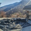 서당골축산 | 밀양 서당골 오토캠핑장 마당1 (헬리녹스 브이타프)