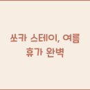 스테이 이미지