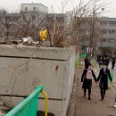 원촌중학교 이미지