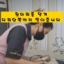 로댕 펫 살롱 이미지