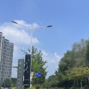 화랑유원지_경기도미술관주변 이미지