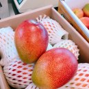 은서농장 이미지