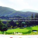 유진회원권거래소