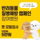 메디힐동물병원 이미지