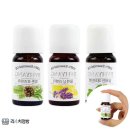 아로마점빵