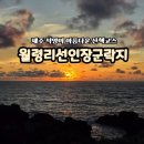 소리야네집 | 제주 산책로 추천 석양이 아름다운 월령리 선인장군락지 월령포구