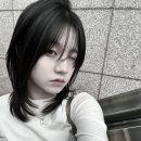정연헤어센스