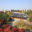 한성종합정비 | 경상감영의 문화유산 - 경상감영지(사적)