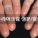 용해약국 이미지