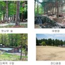 청태산그린 이미지