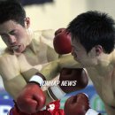 성남권투 이미지