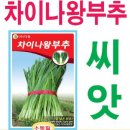 H0025 이미지