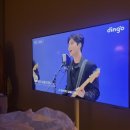 스테이우드 이미지