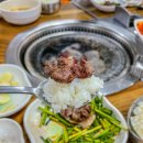 산골염소미소정육