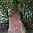 (주)삼림 | 장가계 자유여행 후기2 / 장가계국가삼림공원 당일치기 / 아주 짧은 창사(长沙) 맛보기 / 창사 핫플...