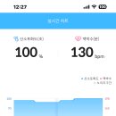 송아리
