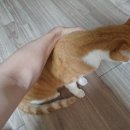 근약국 이미지