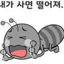 수정로135번길 이미지