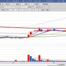 피앤이바이오 이미지