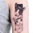Tiny Cat 이미지