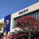 장어의 꿈 이미지