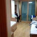 제주대학교 계절학기 스킨스쿠버 후기