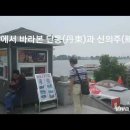 심미안금성