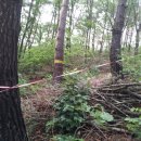 수배농장 이미지