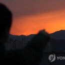 물드네 이미지
