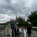 거북 파크 | 경주 버드파크 후기 - 카피바라 밥주기
