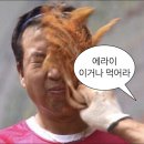 성수1가2동 주민센터 | 성수 서울숲 브런치 카페 쎄콩데 live 잼 뷔페 내돈내산 후기