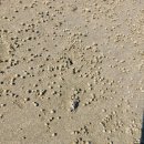 솔내음야영장 이미지