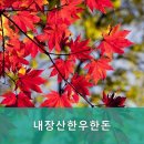 내장산 한우 한돈 이미지