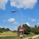 선대농장 이미지