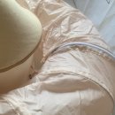 메이비 하우스 | [고양이 숨숨집 터널] 펫띵 우주정거장 미로터널 하우스, 내돈내산 핵추천 ^.^