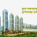 스카이정보 이미지
