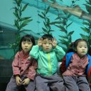 봄소풍 부산국립해양박물관 나들이 이미지