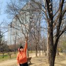 범어근린공원 Daum카페