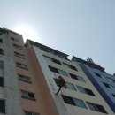 장미페인트