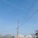 선도원 벧엘 이미지